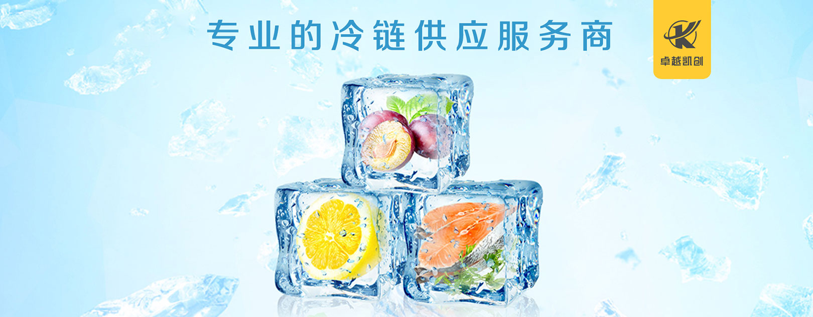 專業